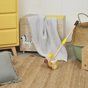 Janod Jouets À Tirer Et À Pousser>Cacatoès à Pousser en Bois pour Bébé