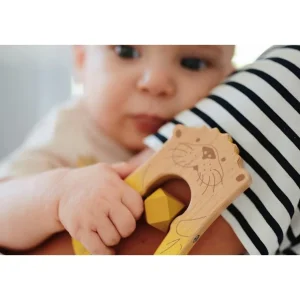 Small Foot Premiers Jeux D'éveil Et Accessoires Bébé>Coffret Naissance Tissu Bois pour Bébé