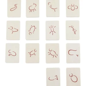 Haba Jeux De Mémoire Et D'association>Jeu de Société (Bois) Quel est le point commun ?