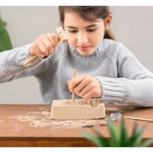 Moses Astronomie, Géographie Et Biologie>Kit à Déterrer Mes Premiers Fossiles en Bois Enfant