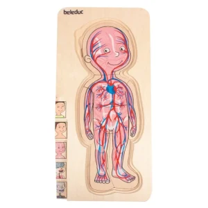 Beleduc Puzzles | Astronomie, Géographie Et Biologie>Puzzle 29 PCS Bois À la Découverte du Corps Humain
