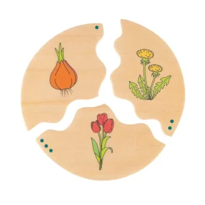 Beleduc Puzzles | Astronomie, Géographie Et Biologie>Puzzle Éducatif Enfant 30 PCS Bois Phases de Vie