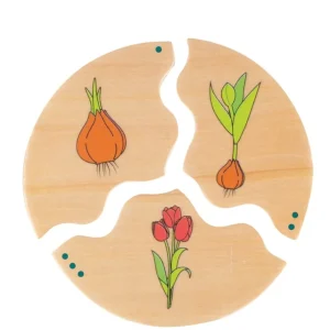 Beleduc Puzzles | Astronomie, Géographie Et Biologie>Puzzle Éducatif Enfant 30 PCS Bois Phases de Vie